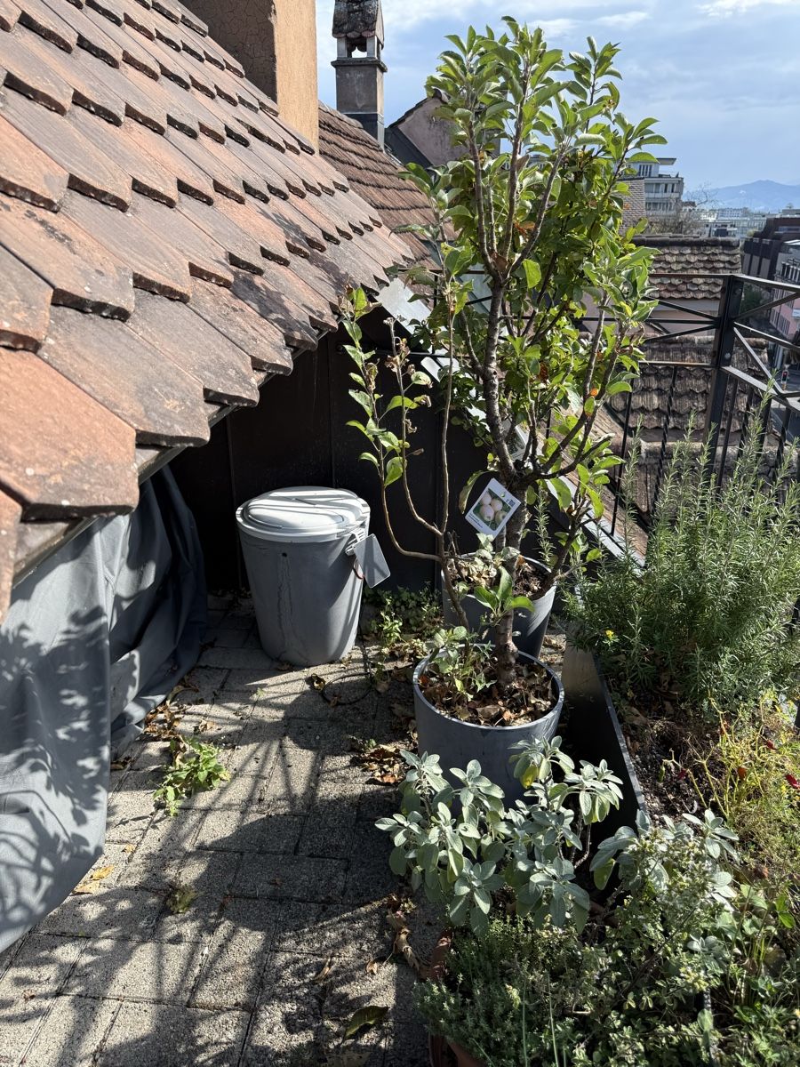 Vasi per fiori: Boum Bewässerungssystem – Usato da Rapperswil SG venduto da Thunderthumb 1