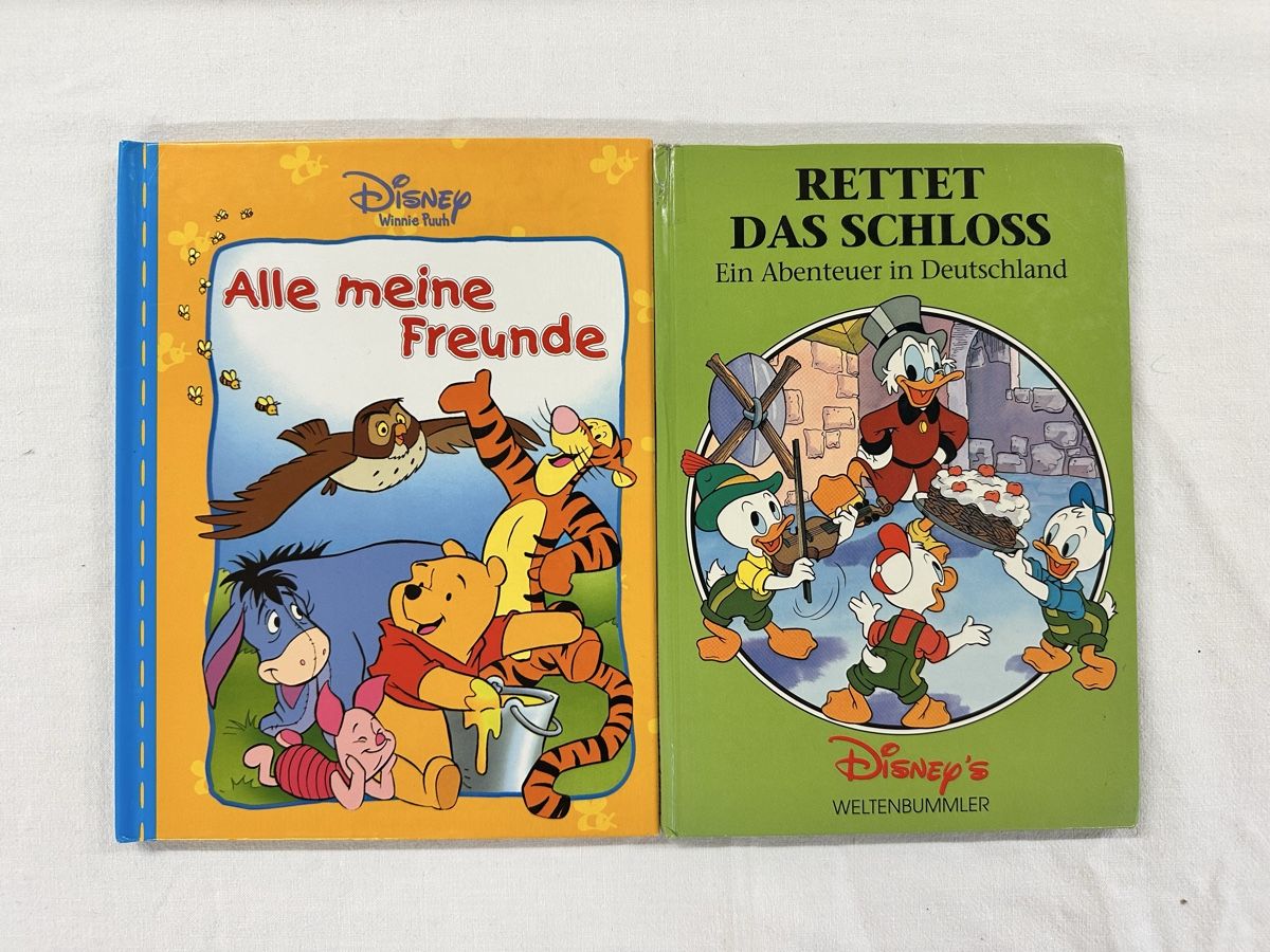 Libri: Kinderbücher – Usato da Zug venduto da User.1211