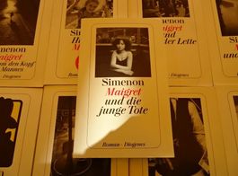 Simenon Maigret Roman Diogenes Bücher-Set