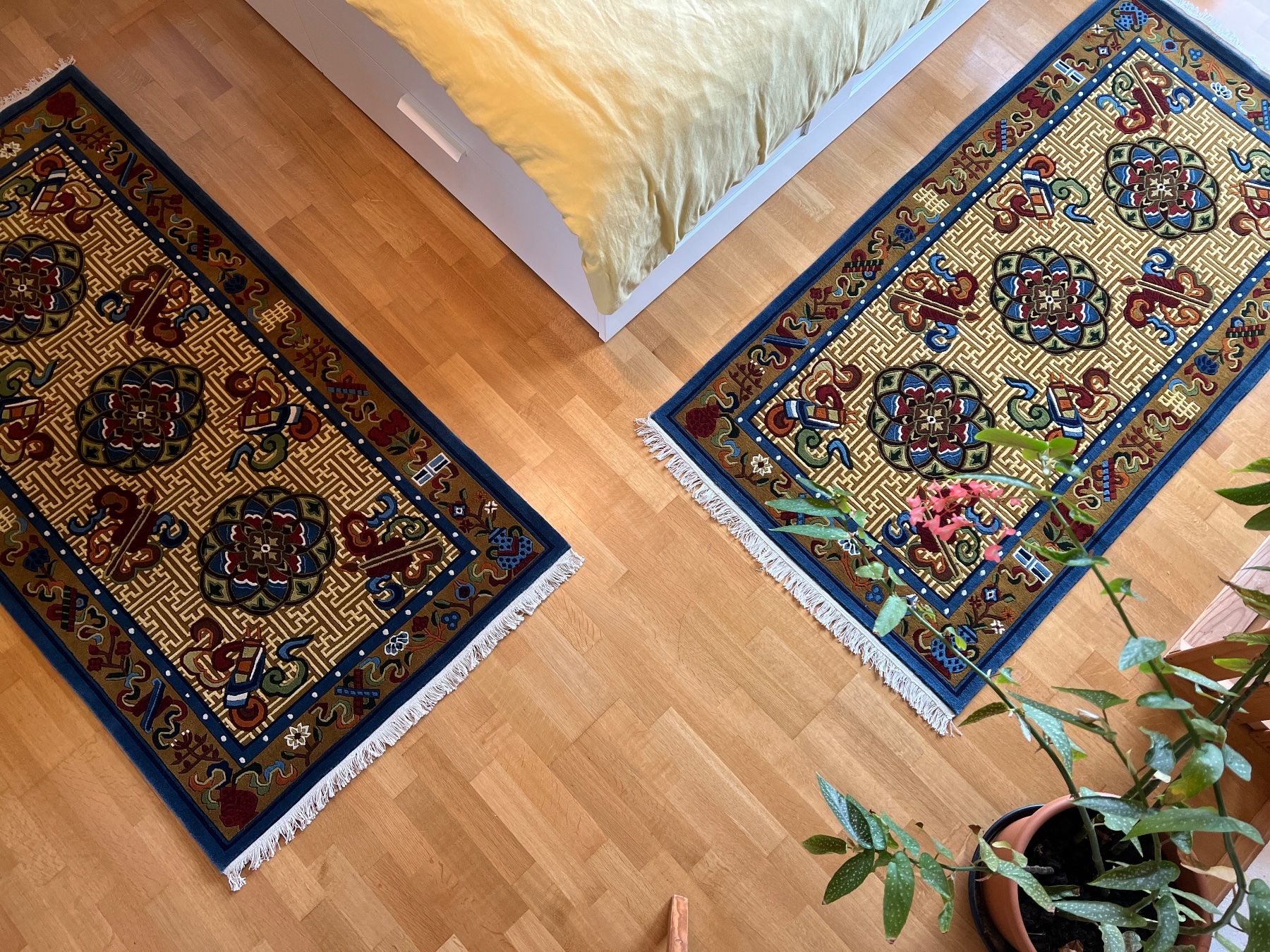 Tappeti: Handgeknüpfter Teppich – Nuovo e nell'imballaggio originale da Wallisellen venduto da tamang_teppiche 2