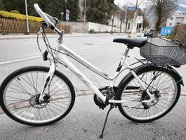 Pathfinder Fahrrad