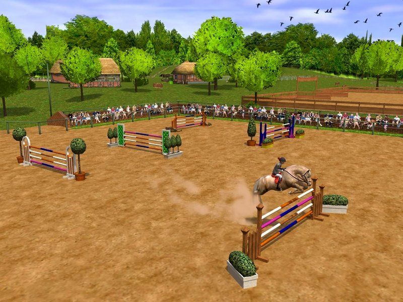 Nintendo Giochi: 😎Pferd & Pony Mein Gestüt    DS – Usato da Schüpfheim venduto da Games_Spielkonsolen 5