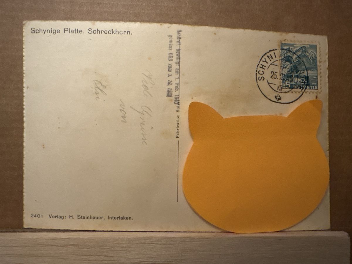 Cartoline postali: AK von Schynige Platte – Usato da Rümlang venduto da Kartenpost1 1