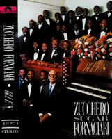 CASSETTE ZUCCHERO - ROCK