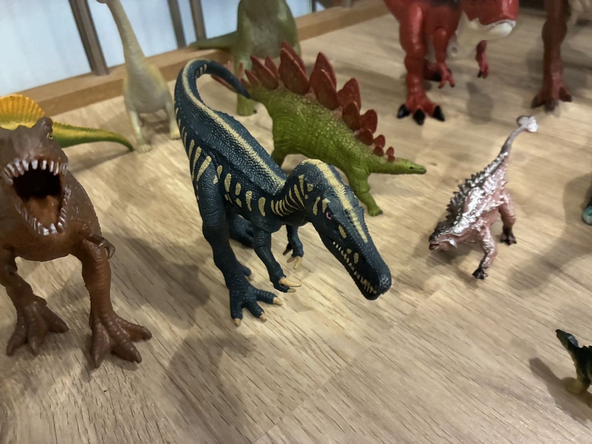 Giocattoli: Dinosaurier-Figuren Set, 20 Stück – Usato da Mitlödi venduto da meyer-sabrina 1