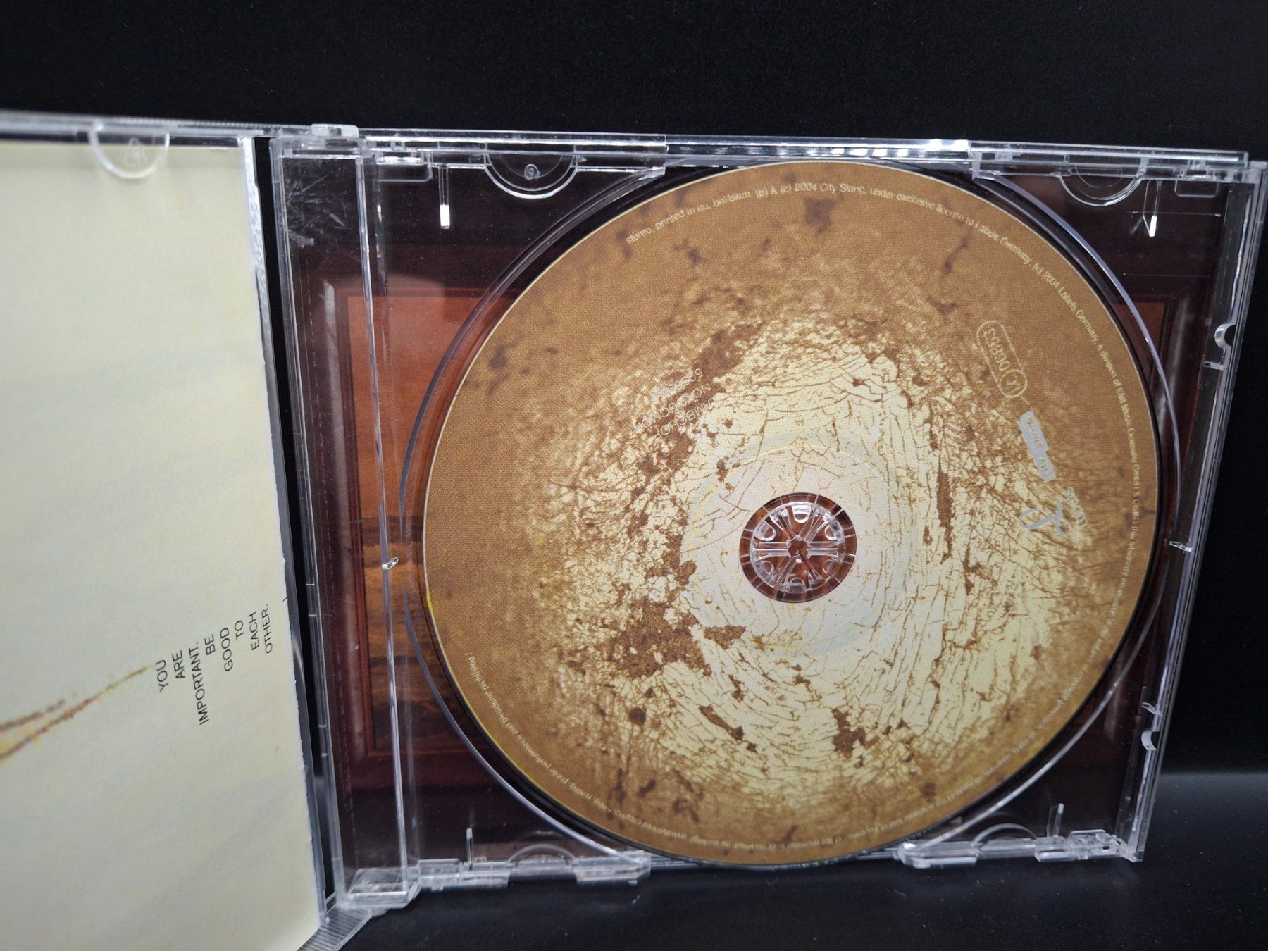 CD: Lambchop – No You C'Mon – Usato da St.Gallen venduto da jalamusic 2