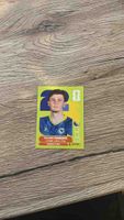 Panini Sammelbild Benjamin Tahirovic fussball neu