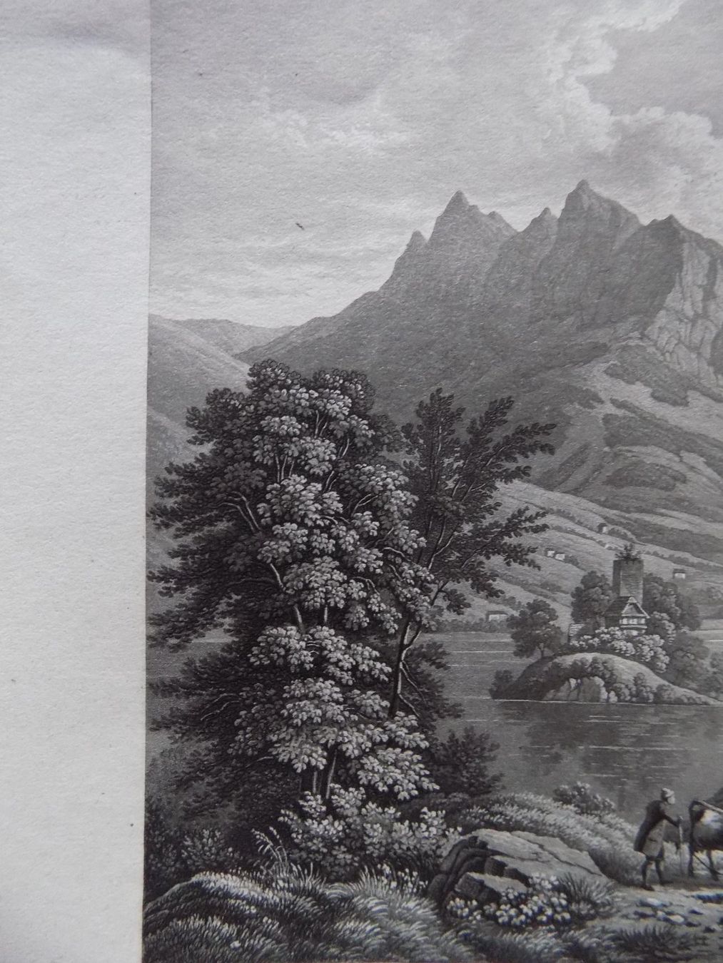 Stiche: Lauerzersee Schwanau Mythen – Gebraucht aus Risch von Rischli15 3
