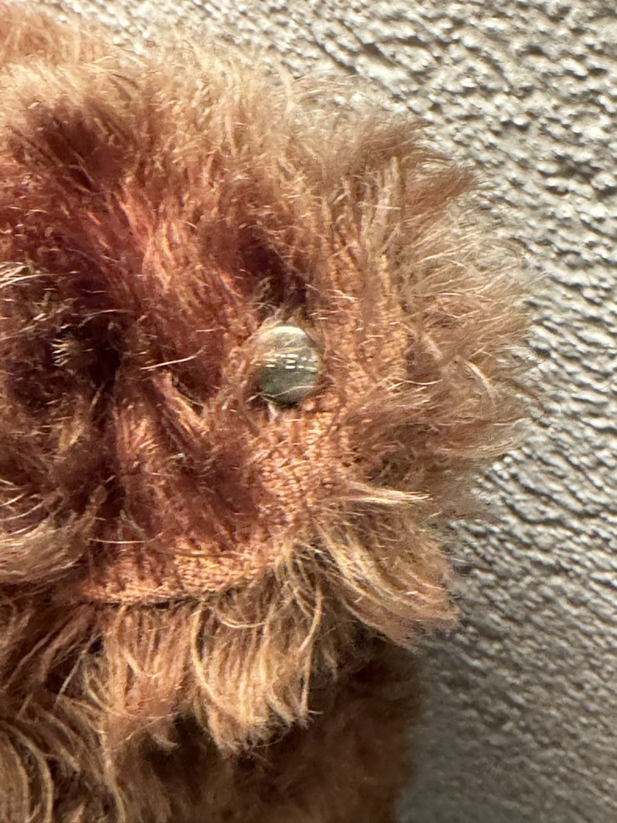 Steiff Giocattoli: Steiff Teddy – Usato da Binningen venduto da kal_5nsj 2