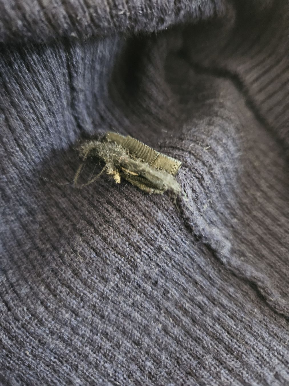 Massimo Dutti Maglioni & Felpe: Massimo Dutti Wollpullover, dunkelblau, Gr. M – Usato da Anwil venduto da tamoos 4
