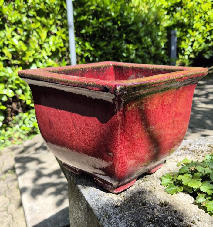 Blumentopf rot glasiert | Kaufen auf Ricardo
