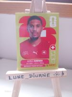 Stickers World Cup 2026 Panini Aurèle Amenda SUI7