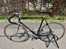 Vintage Rennrad Pavarin Special
