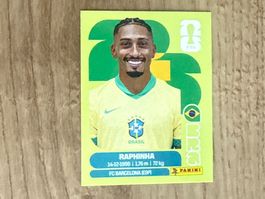 Panini FIFA World Cup 2026  Sticker Raphinha BRA 19