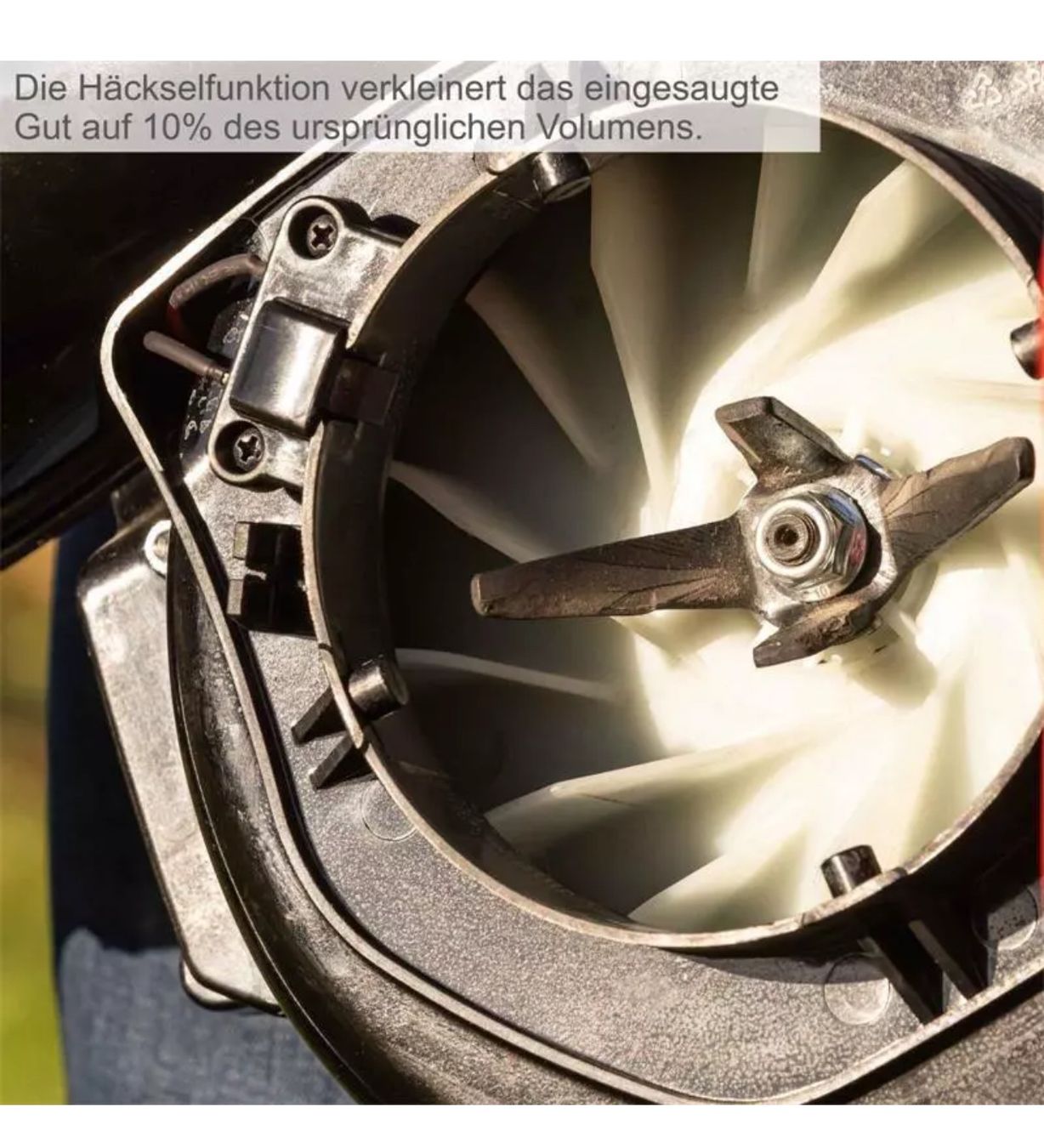 Laubbläser & Laubsauger: Scheppach Benzin Laubbläser LBH2600P 1PS – Neu und originalverpackt aus Amriswil von JaJa-Express 5