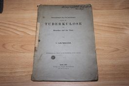 Beziehungen zwischen der Tuberkulose des Menschen und der Ti