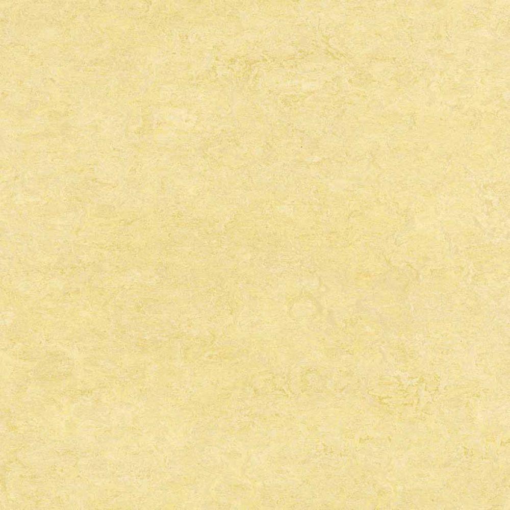 Rivestimenti per pavimenti: Linoleum SELECT Klicksystem Naturboden 10 Farben – Nuovo e nell'imballaggio originale da Ibach venduto da floorandmore_schwyz 2