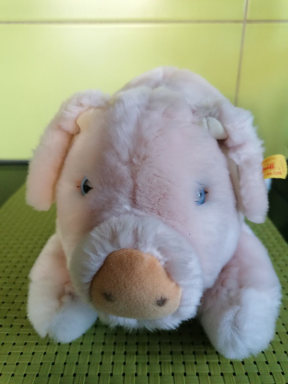 Steiff Giocattoli: Steiff Schwein gross – Usato da Biberist venduto da troedlerheinz 1