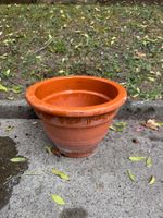 Vaso
