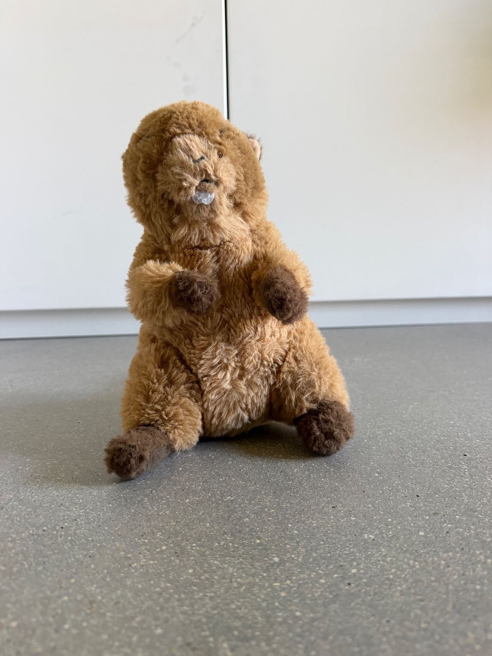 Jouets: Plüschtier Biber – D'occasion à Bern par Werahiko