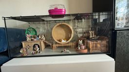 Hamsterkäfig mit Zubehörmöbeln und Deko
