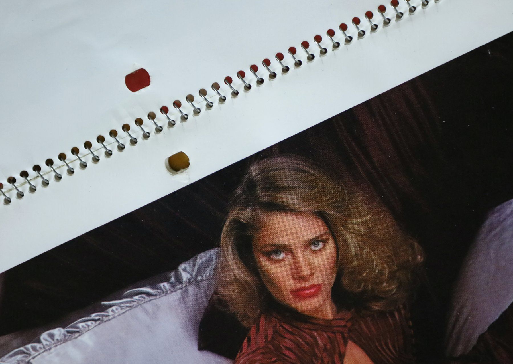 Playboy Calendari: PLAYBOY Kalender 1979 – Usato da Birrwil venduto da brandschatz_birrwil 1