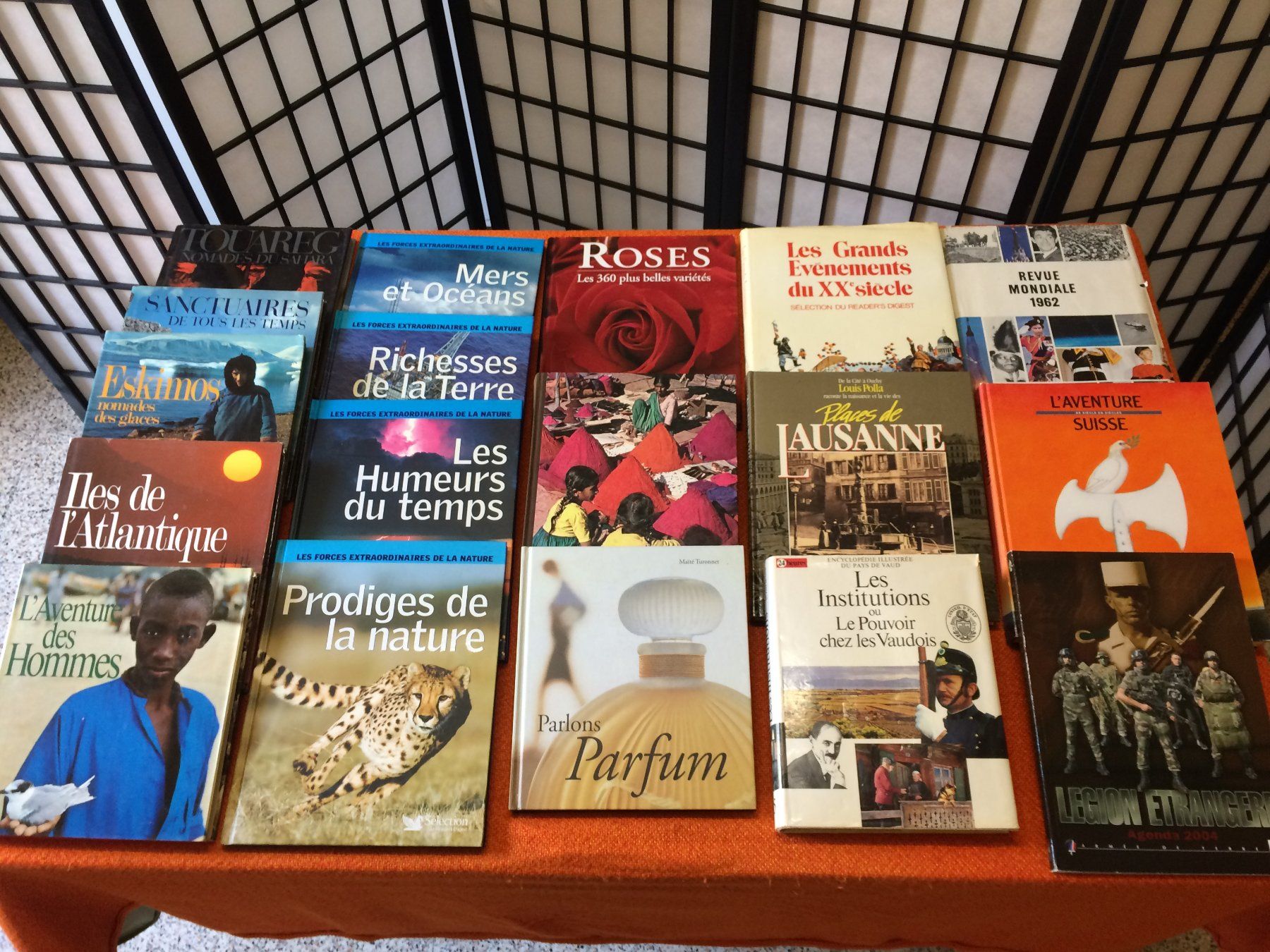 Libri: 18 Livres de collections diverses - Exploration, découverte! – Usato da Vevey venduto da rog_9vvj