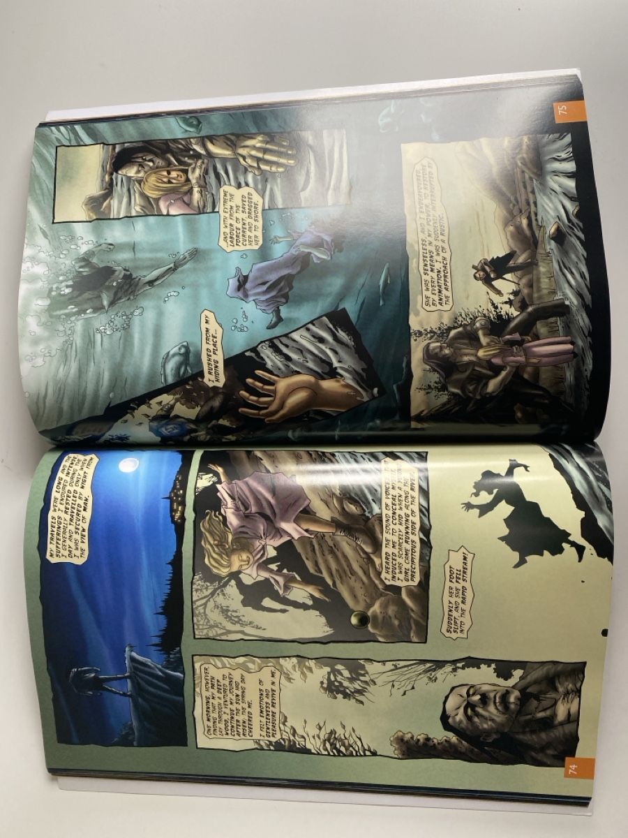 Comics: Graphic Novel Frankenstein – Gebraucht aus Riggisberg von jae_gjf6 2