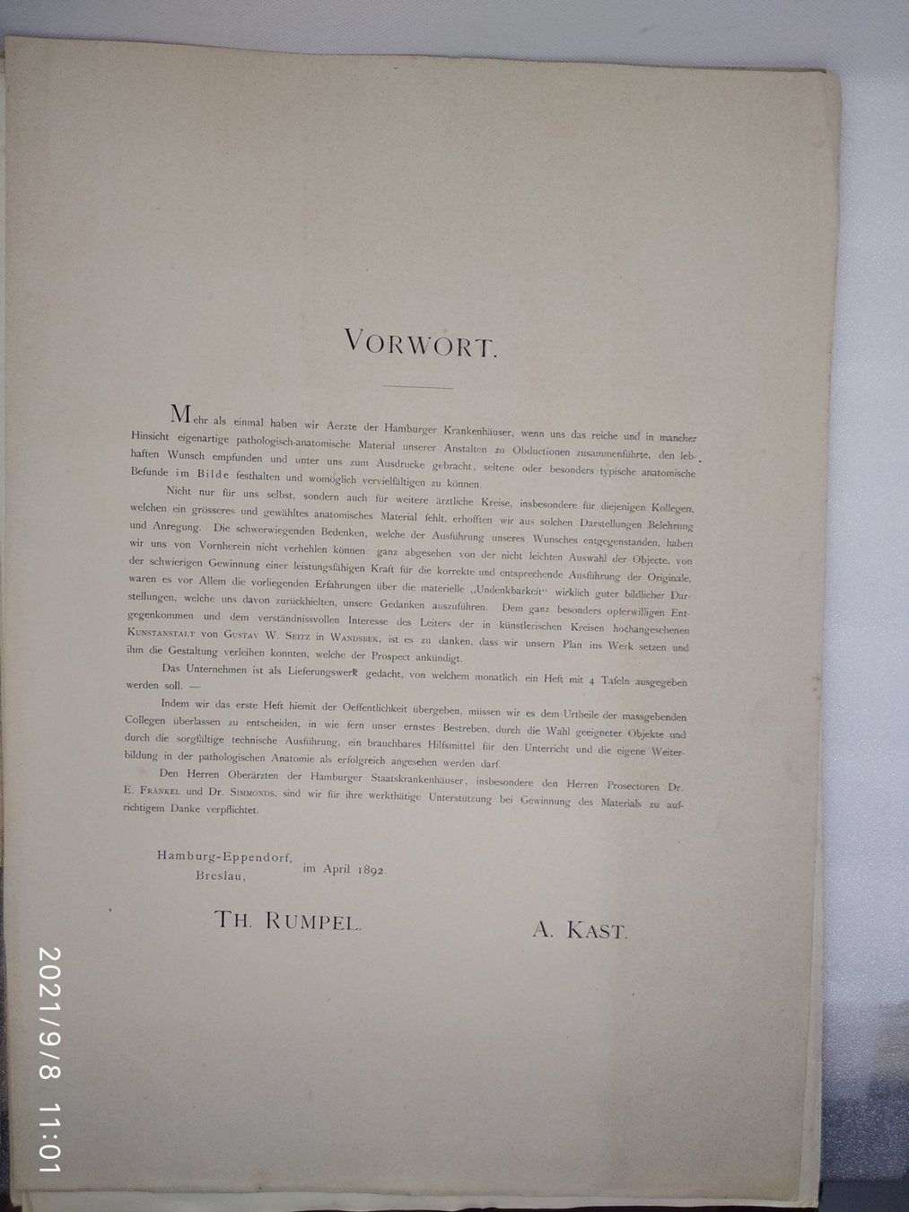 Libri: MEDIZIN - ANATOMIE - KAST - RUMPEL - P – Usato da Goldach venduto da Gaip 9