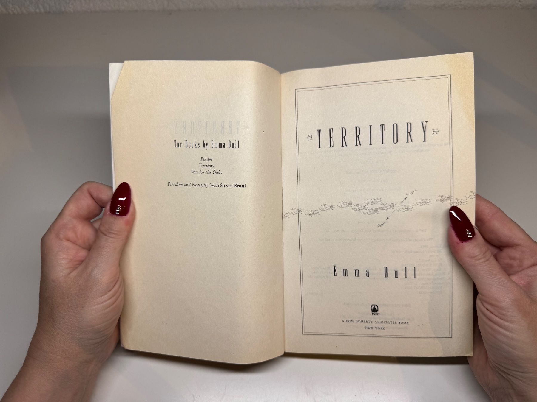 Libri: NOVEL: Emma Bull, Territory – Usato da Grosswangen venduto da English_books 3