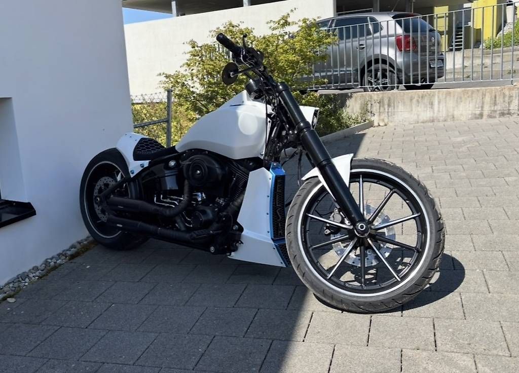 Cruisers: Custom Harley Breakout – D'occasion à Ernetschwil par Sevo_0 4