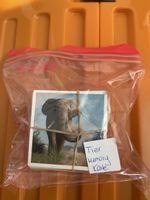 Tier Memory Karten-Spiel Kinder
