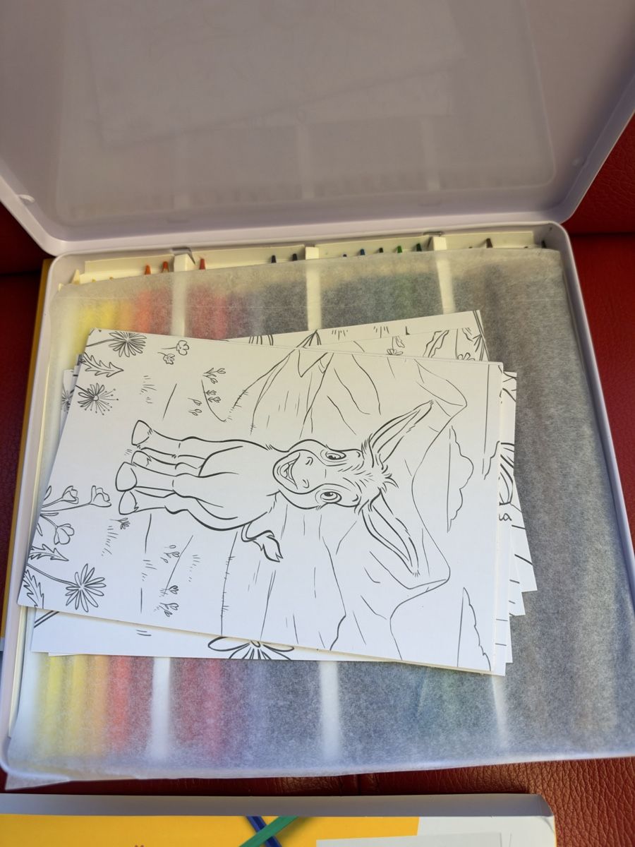 Penna & Evidenziatori: Buntstifte Set 24 Farben mit 10 Postkarten Metallbox – Nuovo e nell'imballaggio originale da Pratteln venduto da BL-Pratteln 2