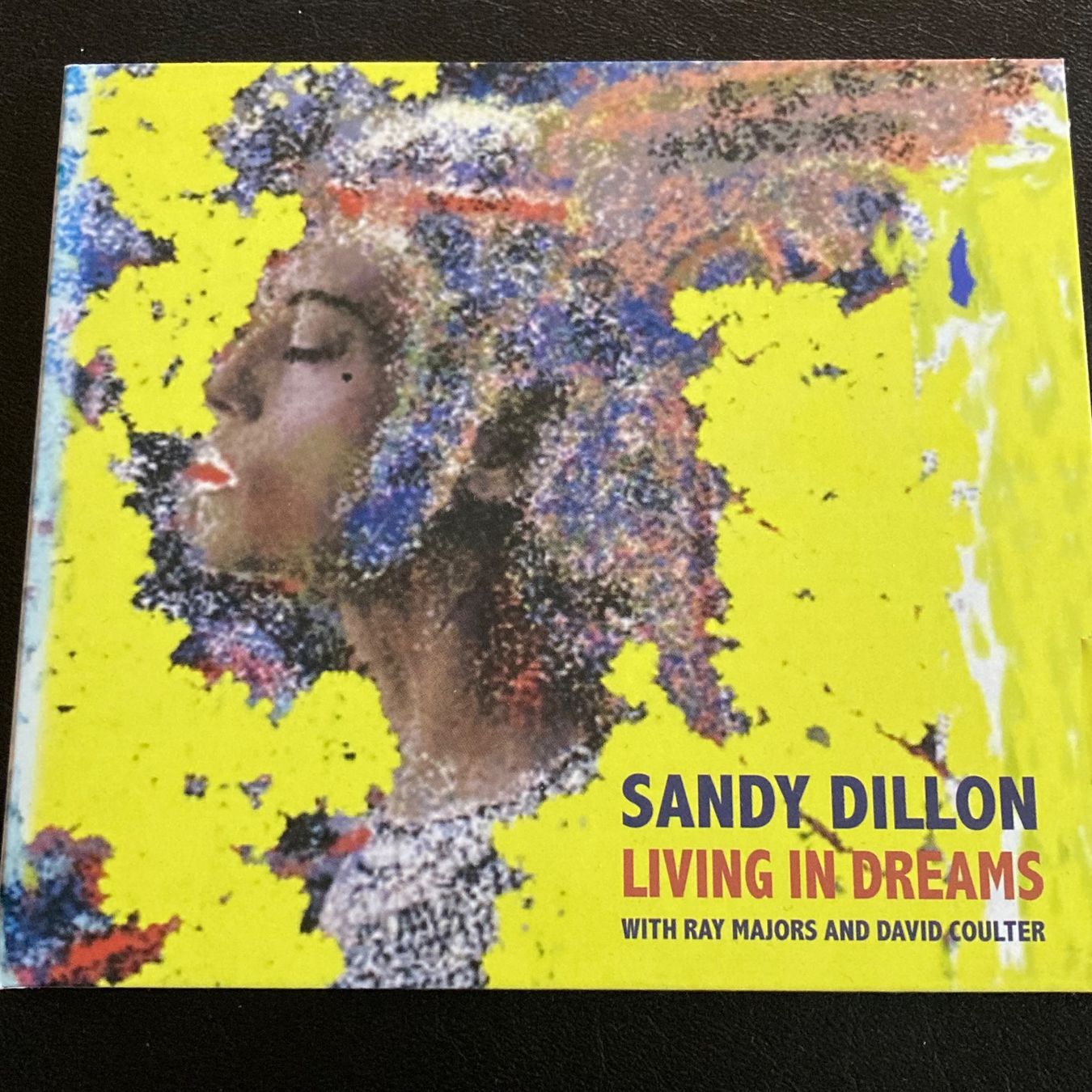 CDs: Sandy Dillon - Living In Dreams | Blues Rock – Gebraucht aus Bern von Ntsamina