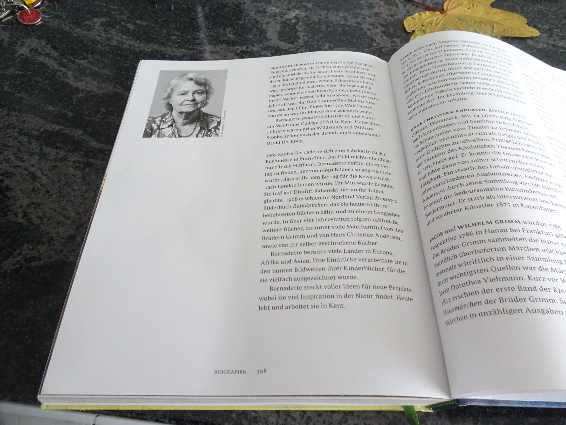 Bücher: Bernadette Märchenbuch, wunderschön illustriert – Neu und originalverpackt aus Zürich von Roulet 8