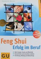 Feng Shui Erfolg im Beruf