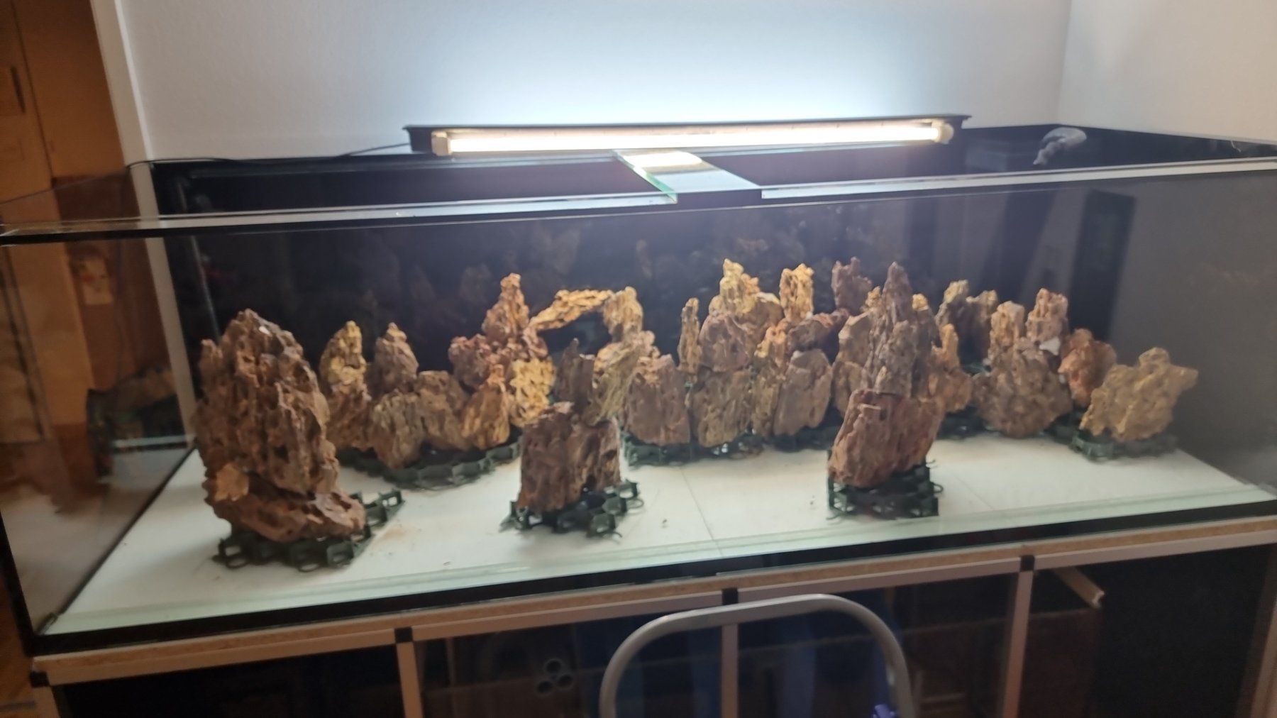 Aquarium: 960-Liter Aquarium Komplettset – Gebraucht aus Schaffhausen von Meerwasser76 6