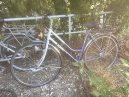 Fahrrad ARBOS 2108 Damenrad violett guter Zustand
