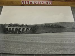 Echtfoto: Diessenhofen mit 2 Krokodilen, 1986, Schweizerisch