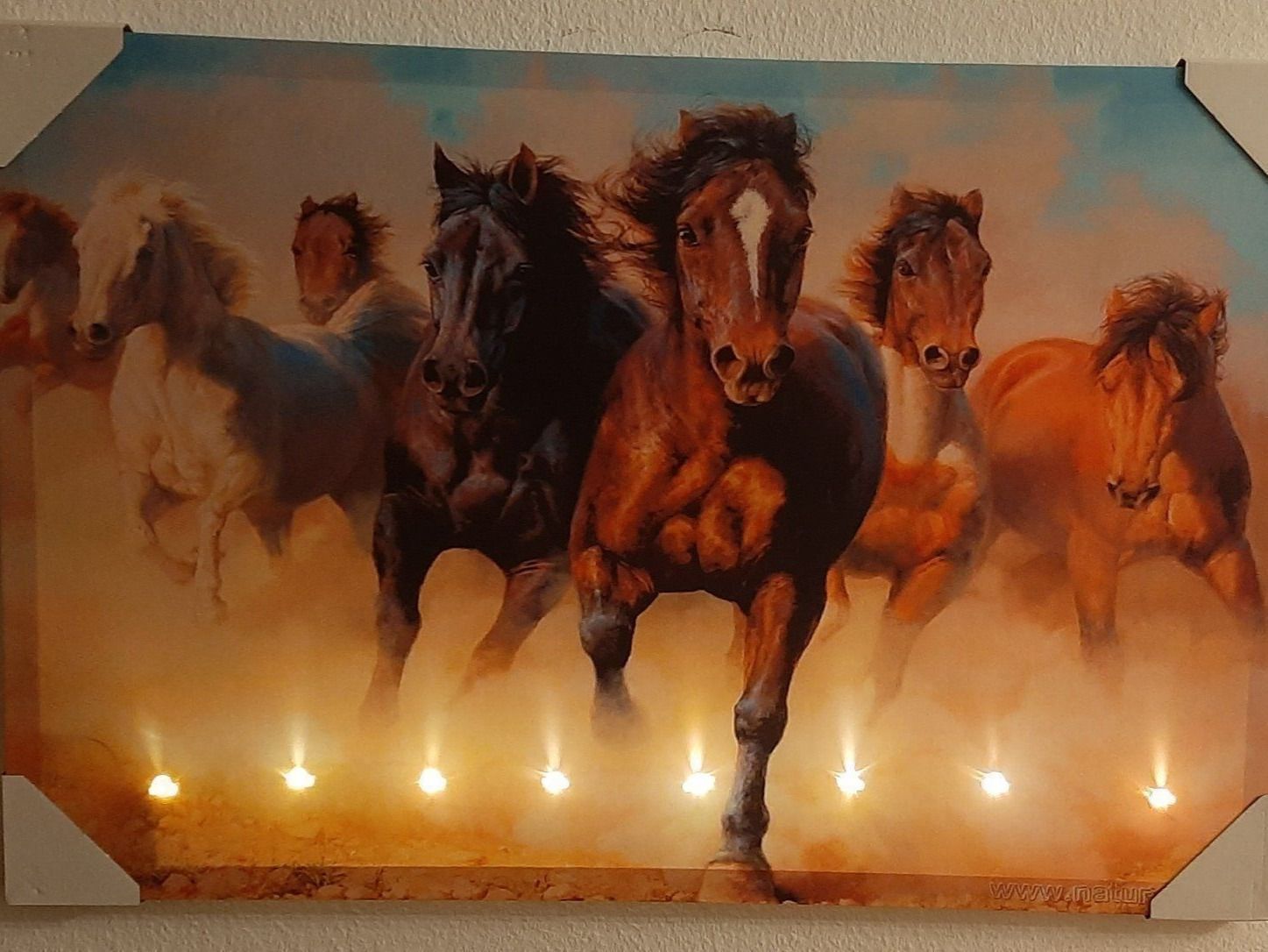 Poster & Bilder: The Horses LED Kunstbild gross / Pferde – Neu und originalverpackt aus Kilchberg ZH von ruedi34 5