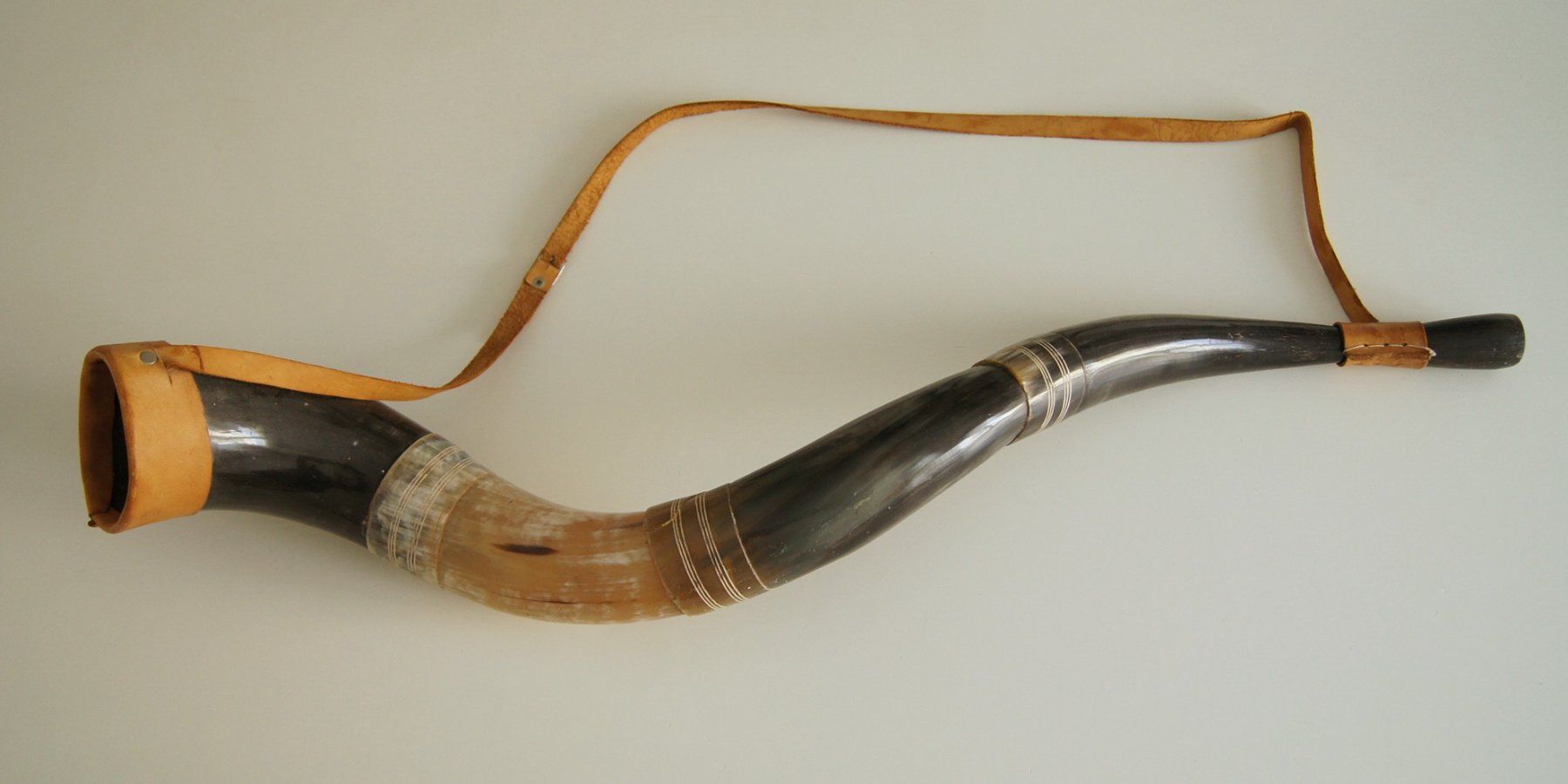 Strumenti musicali: Berrante; Horn der Gauchos aus Südamerika – Usato da Fribourg venduto da erw_68dx