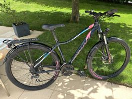 Wheeler Passera ATB 17“ blue/pink