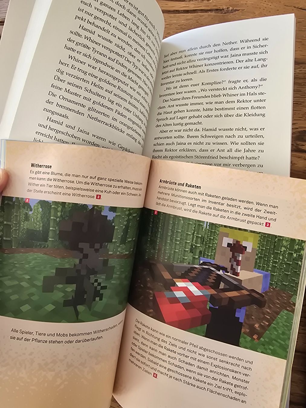 Libri: Minecraft Bellestrik/ Romane und Handbücher – Usato da Untersiggenthal venduto da fantail 1