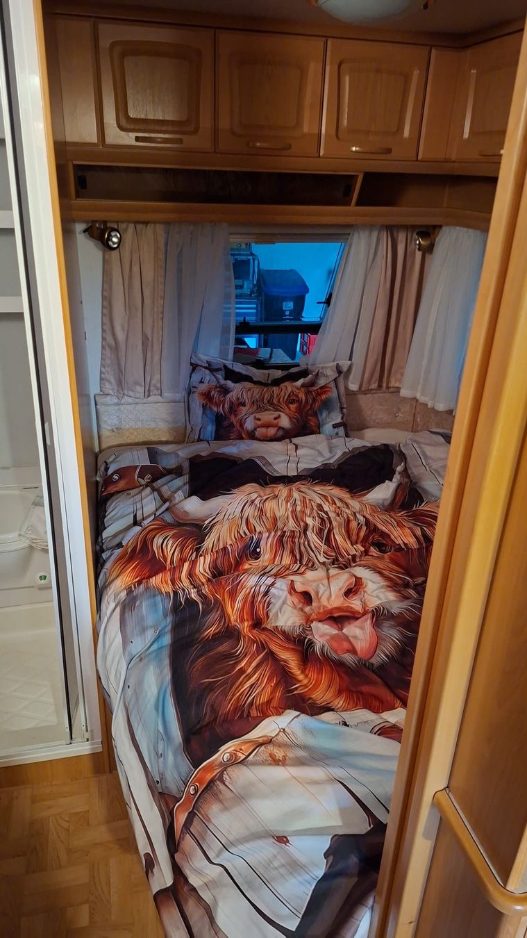 Knaus Veicoli da campeggio: Knaus Wohnwagen ab MFK-top Zustand – Usato da Flumenthal venduto da HoneyMoon.2012 4