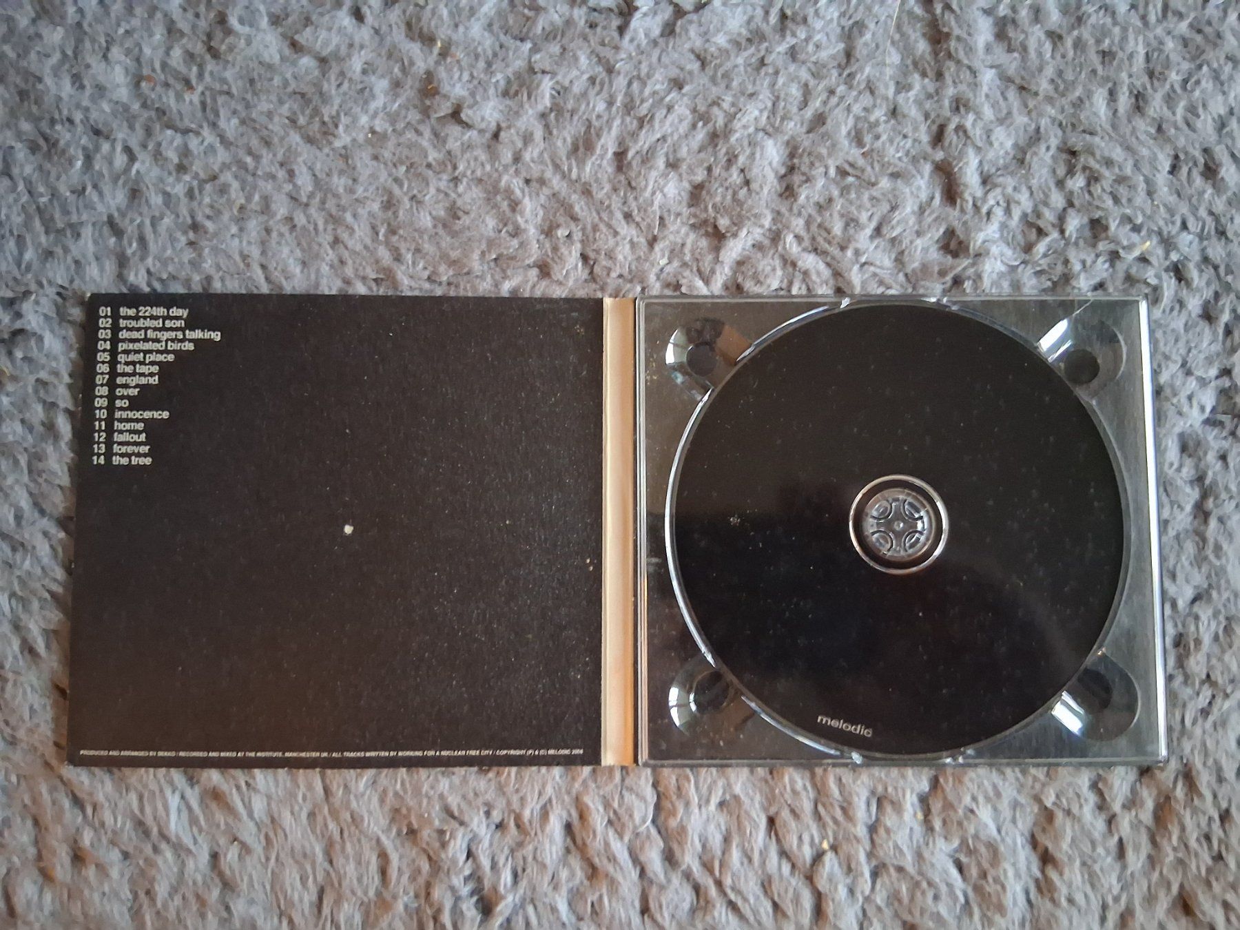 CD: WORKING FOR A NUCLEAR FREE CITY    CD – Usato da Wetzikon ZH venduto da Ramones01 2