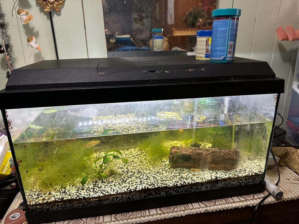 aquarium-kaufen-auf-ricardo