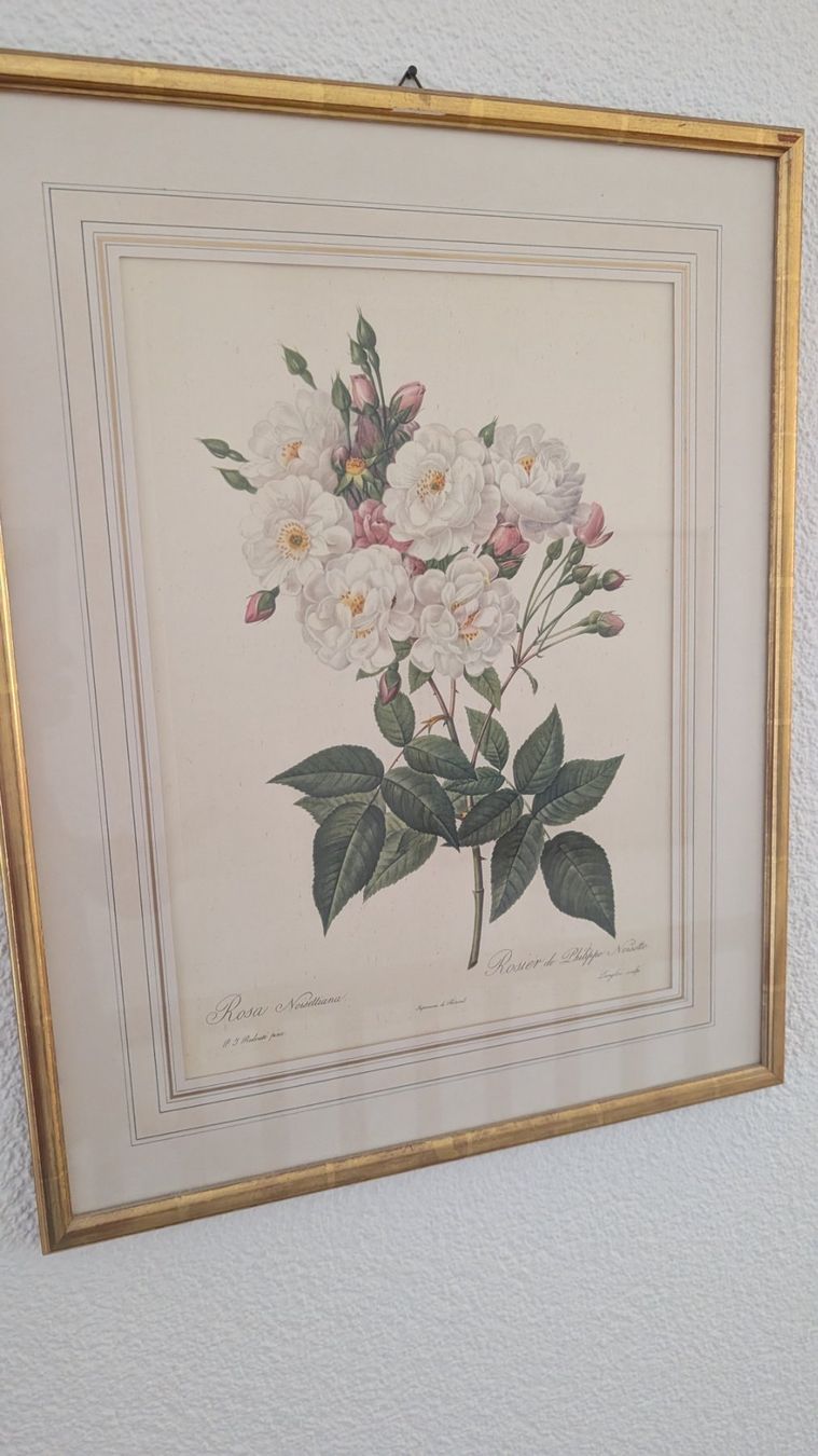 Stiche: Vier Stiche mit Rosenmotiven – Gebraucht aus Ittigen von stoney63 7