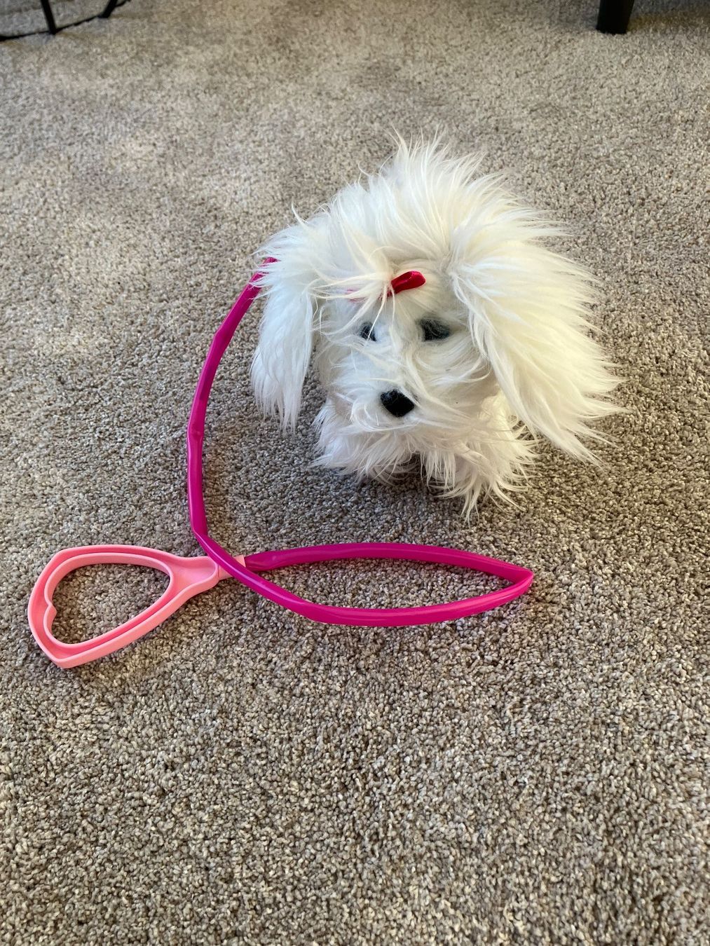 Giocattoli: Hund Fluffy – Usato da Wichtrach venduto da mryter01