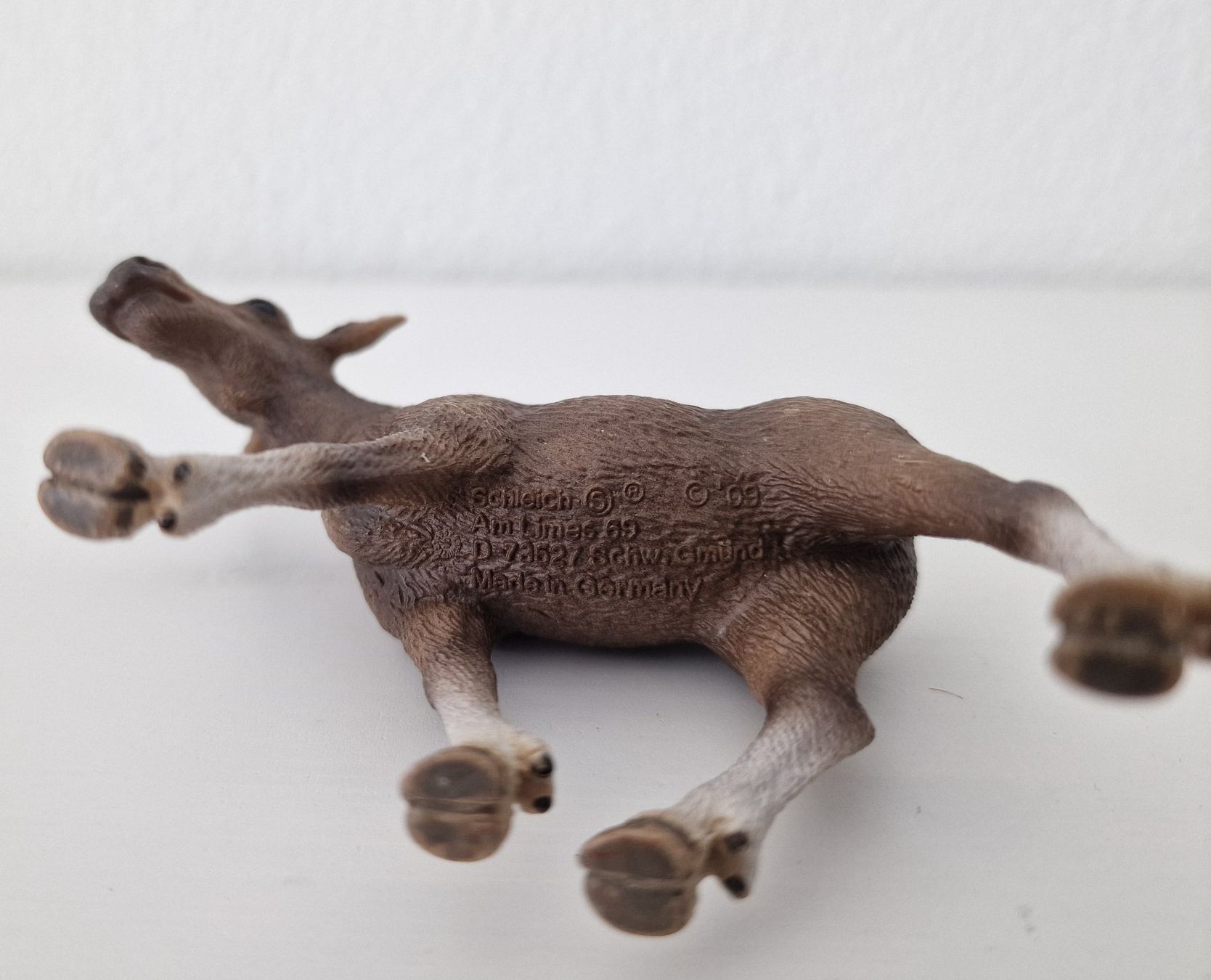 Schleich Statuette: Schleich 14620 Elch Kuh – Usato da Root venduto da Little.Fox 2
