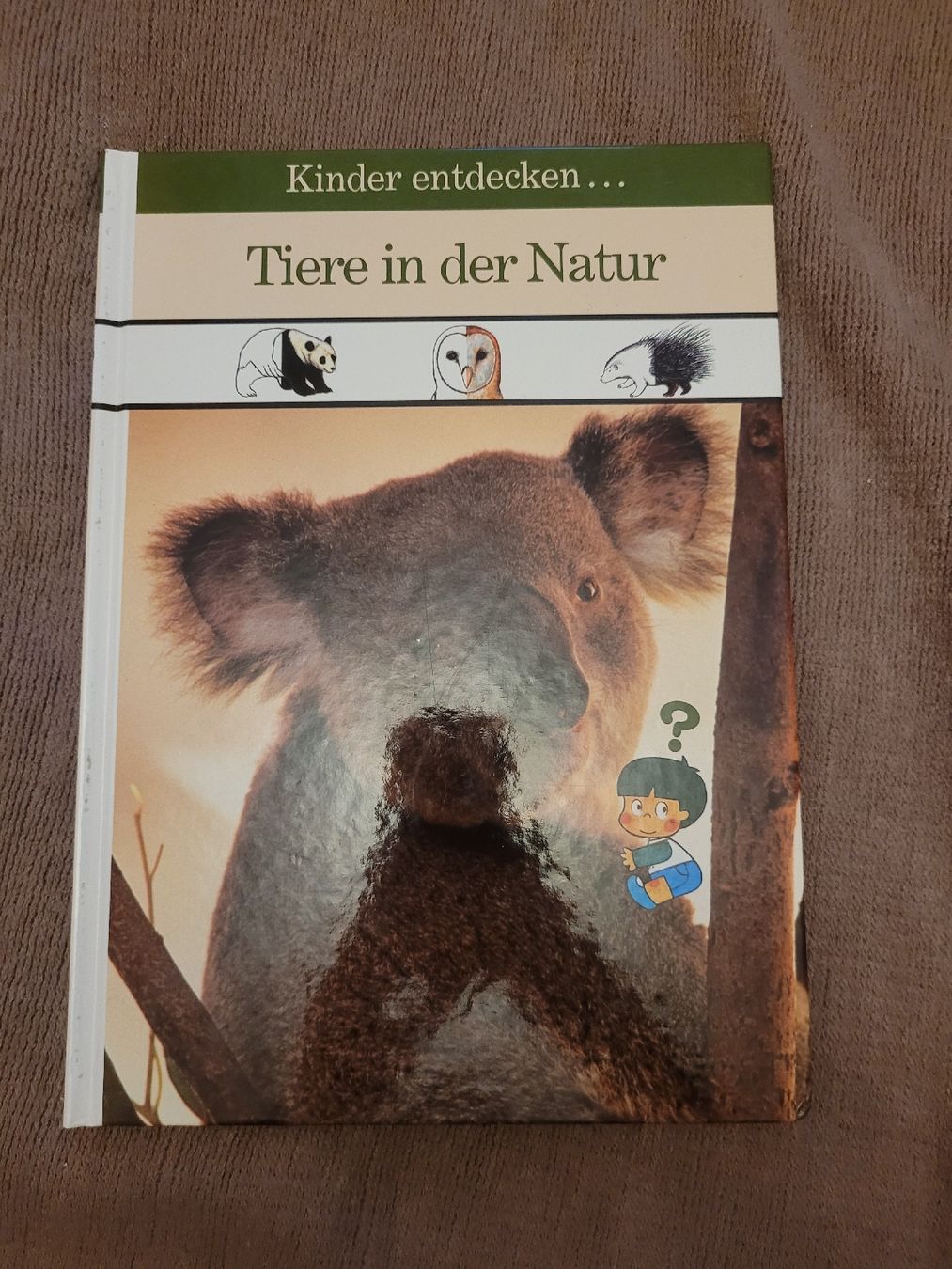 Libri: Kinderbuch "Tiere in der Natur" – Usato da Perlen venduto da Safari_23